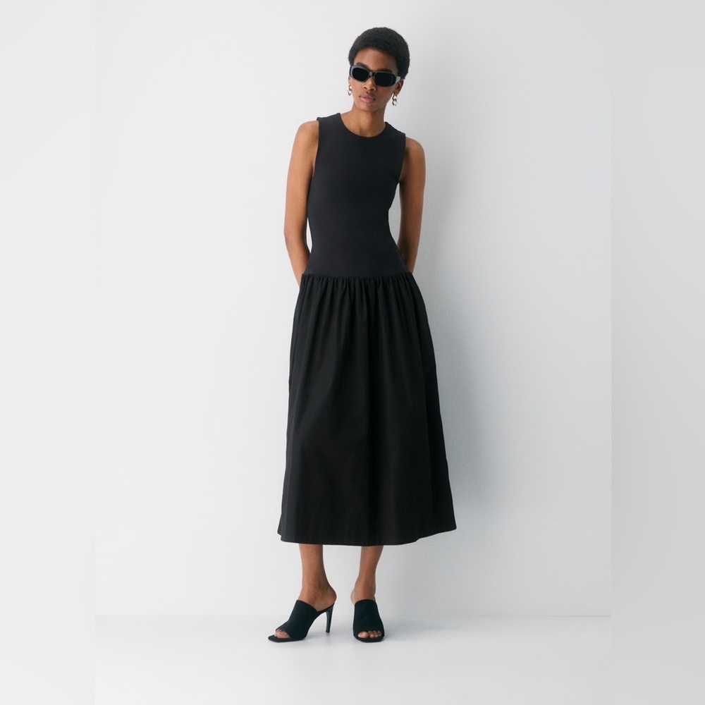 Aritzia Babaton Worldly Poplin Dress